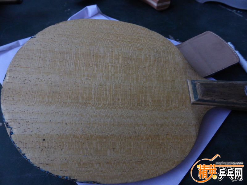 P1040523 (800x600) (2).jpg