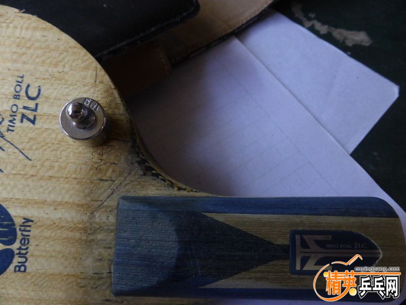 P1040537 (800x600) (2).jpg