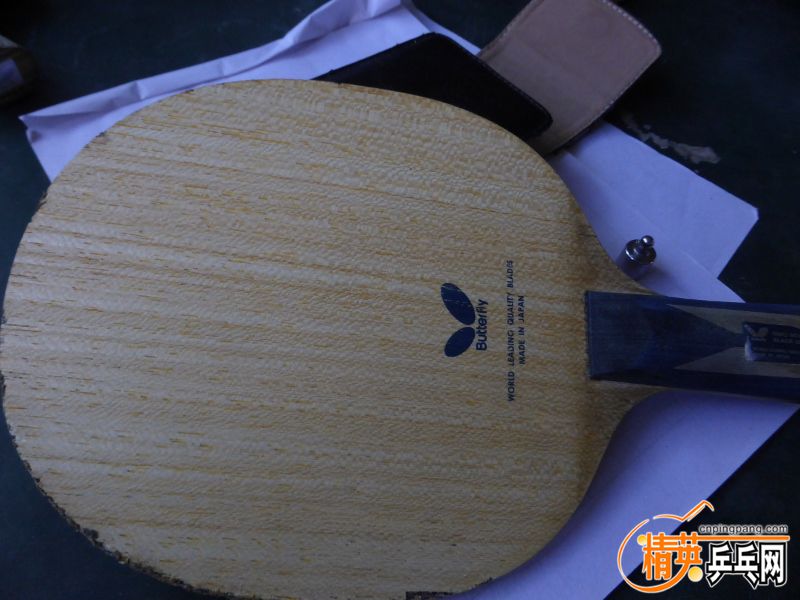 P1040538 (800x600) (2).jpg