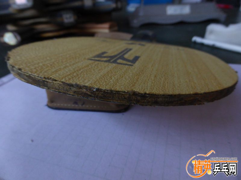 P1040541 (800x600) (2).jpg