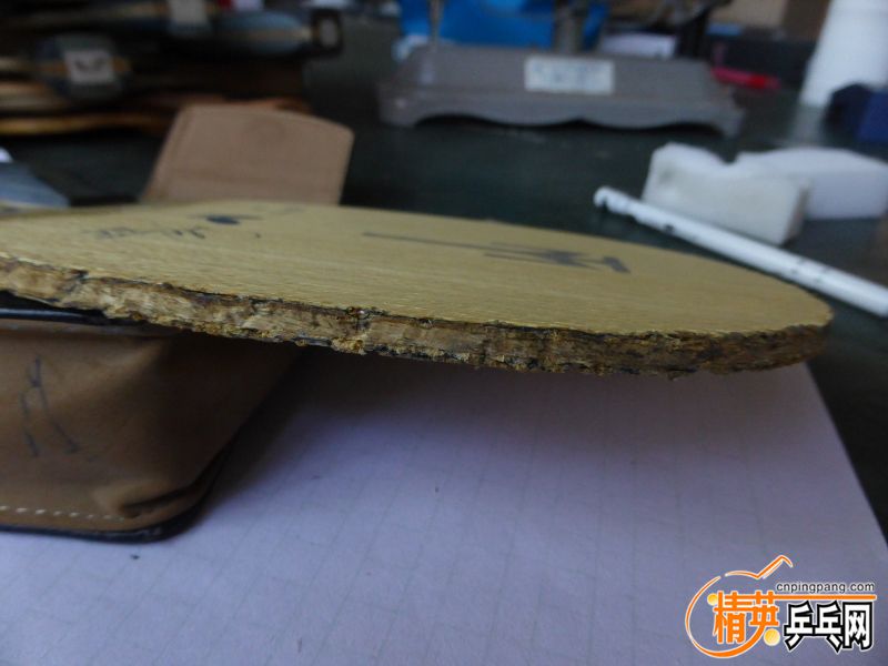 P1040542 (800x600) (2).jpg