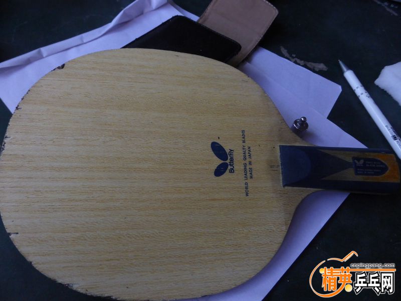 P1040545 (800x600) (2).jpg