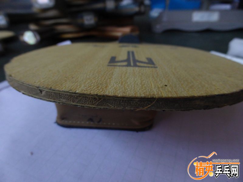 P1040547 (800x600) (2).jpg