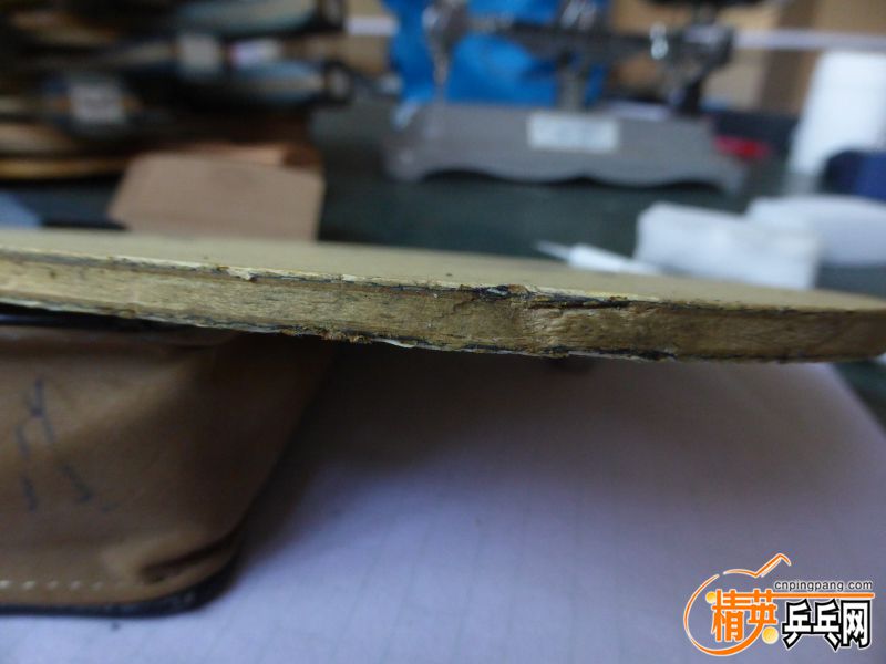 P1040548 (800x600) (2).jpg