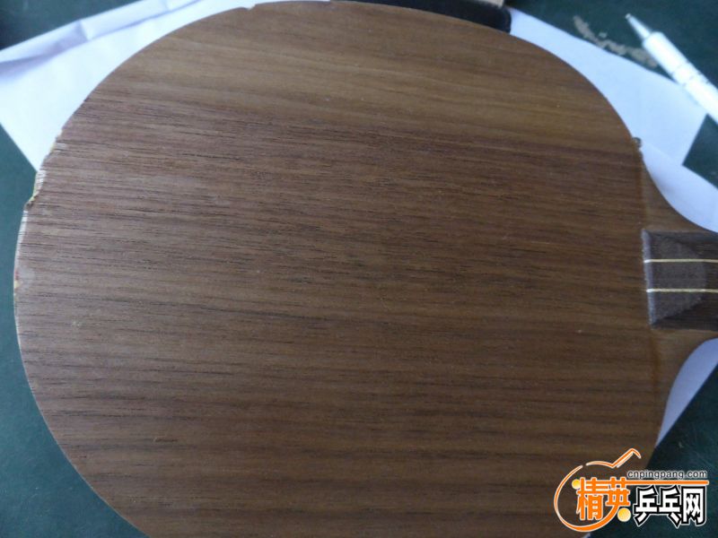 P1040552 (800x600) (2).jpg