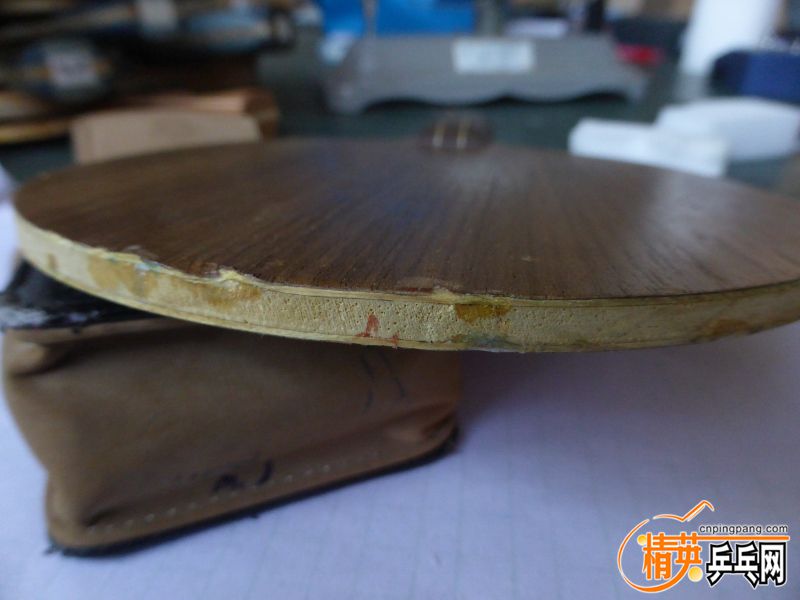 P1040555 (800x600) (2).jpg