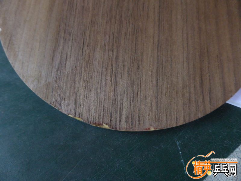 P1040556 (800x600) (2).jpg