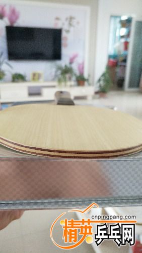 IMG_20170815_124252.jpg