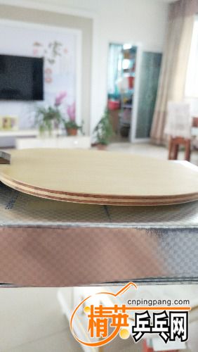 IMG_20170815_124245.jpg