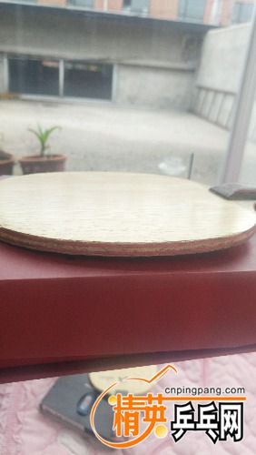 IMG_20170727_160955.jpg