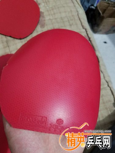 20170815_180118.jpg