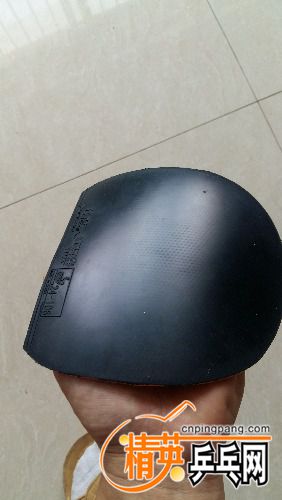 20170818_105824.jpg