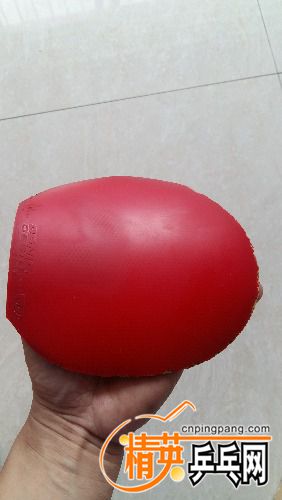 20170818_110047.jpg