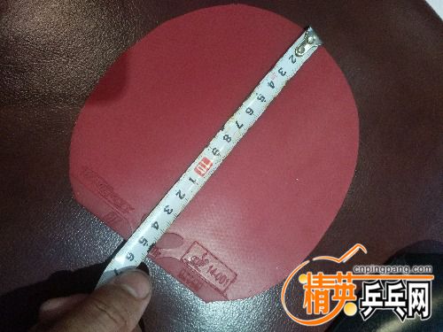 IMG_20170818_185006.jpg