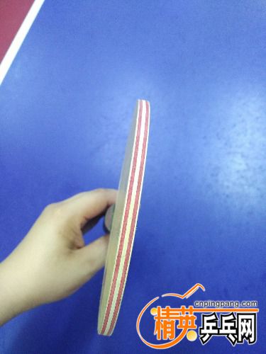 IMG_20170821_232251.jpg