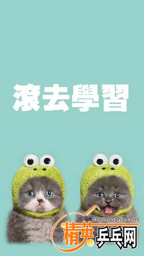 ڻf` (2)_&amp;_17205b0c-84c5-4d34-a820-222ae6b91a5f.jpg