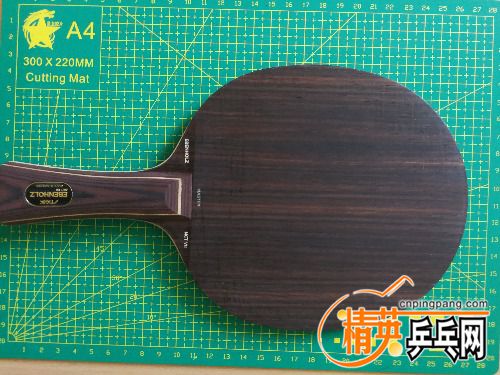 IMG_20170823_114532.jpg