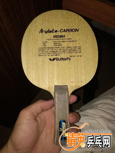 IMG_20170824_153152.jpg