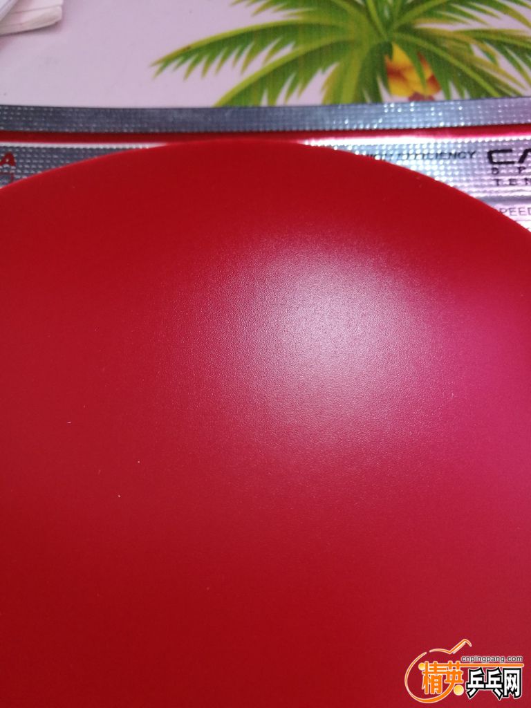 IMG_20170826_100037.jpg