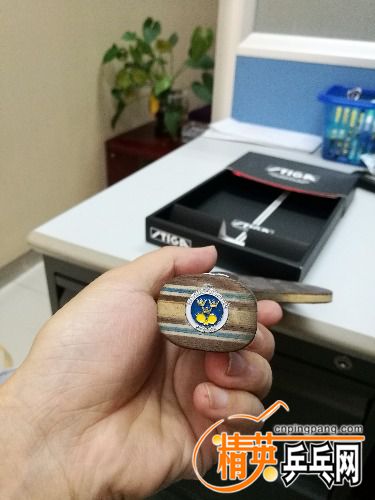 IMG_20170827_153333.jpg