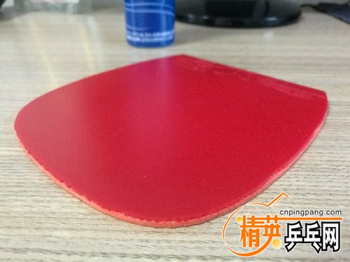IMG_20170828_132502.jpg