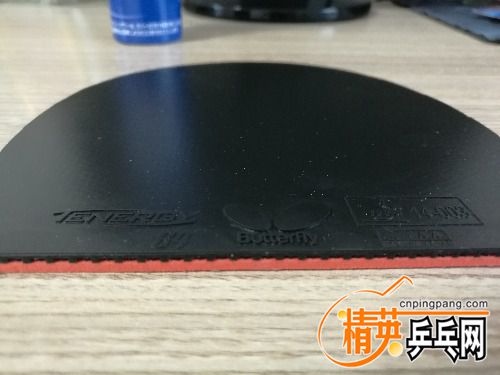 IMG_20170828_132337.jpg