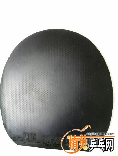 mmexport1503892188871.jpg