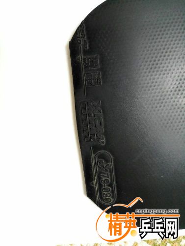 mmexport1503892179742.jpg
