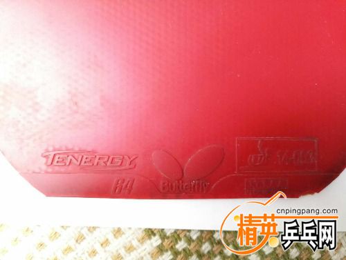 mmexport1503892171767.jpg