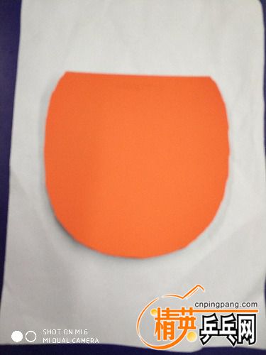 IMG_20170829_215445.jpg