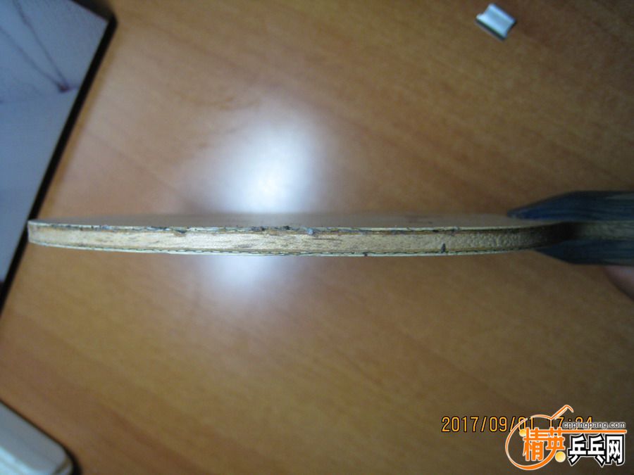 IMG_4245_СС.JPG
