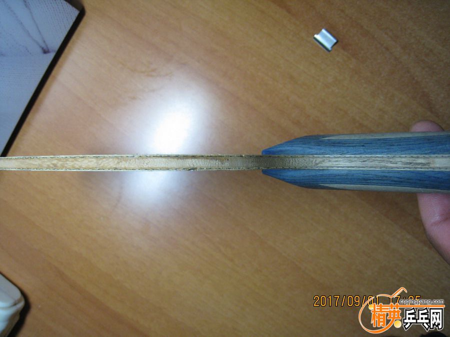 IMG_4248_СС.JPG