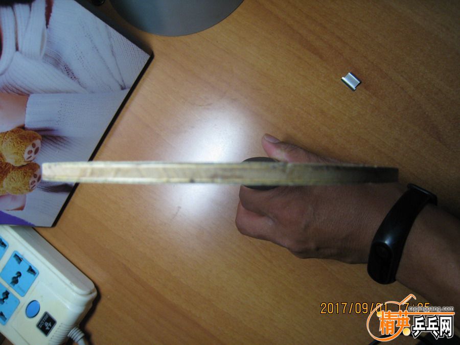 IMG_4247_СС.JPG
