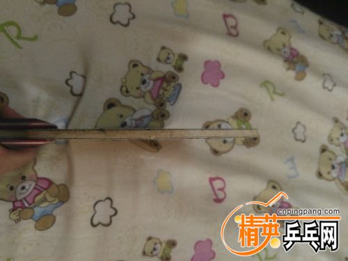 IMG20170902110522.jpg