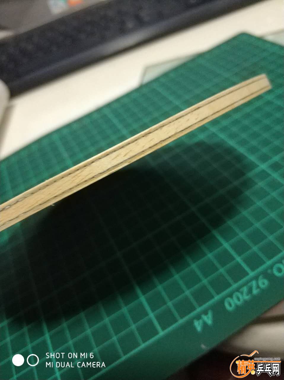 772013885181517312.jpg