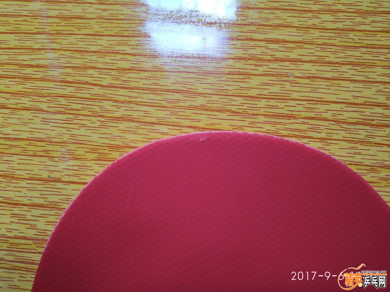 IMG_20170906_110408-01.jpeg