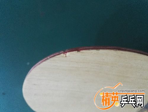 IMG_20170907_131820.jpg