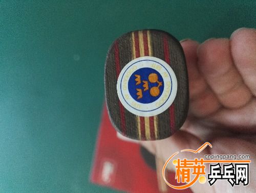 IMG_20170907_131835.jpg