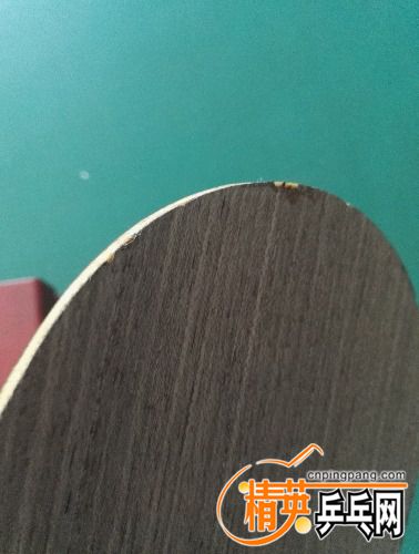 IMG_20170907_131935.jpg