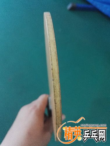 IMG_20170907_132046.jpg