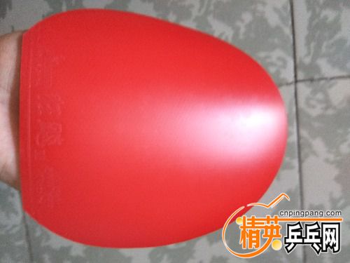 IMG_20170908_143226.jpg