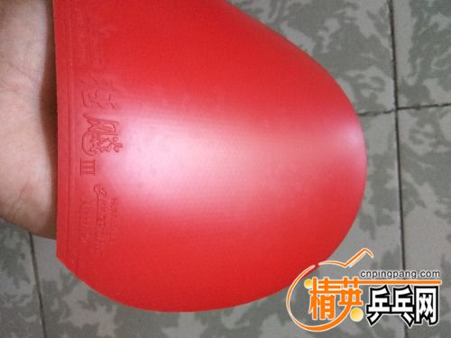 IMG_20170908_143231.jpg