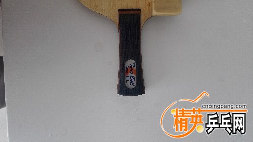 IMG_20170908_152323.jpg