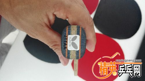 IMG_20170908_152410.jpg