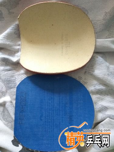 IMG_20170909_124734.jpg