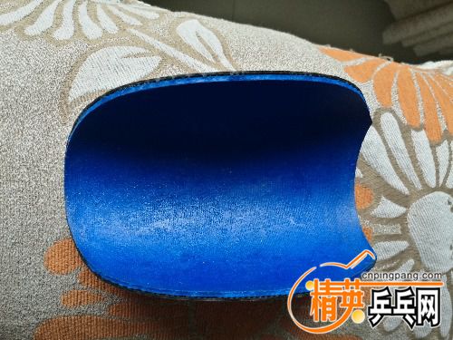 IMG_20170909_133237.jpg