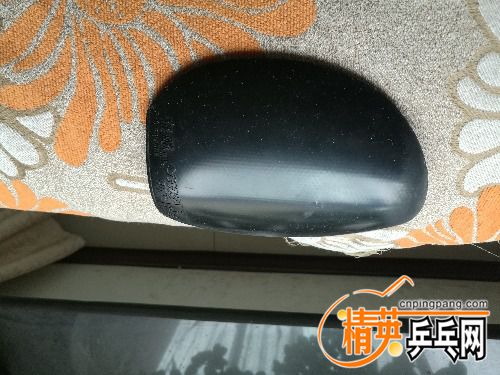 IMG_20170909_133205.jpg