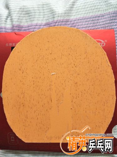 IMG20170909134713.jpg