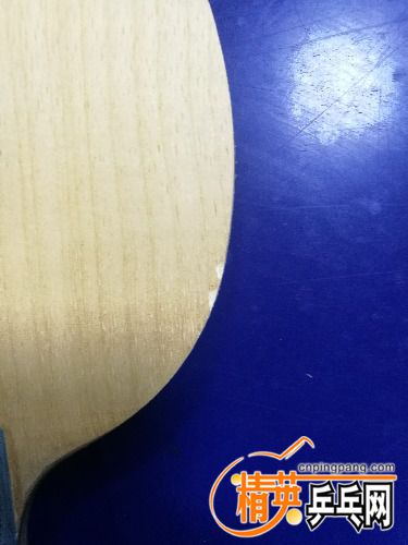 IMG_20170915_200528.jpg