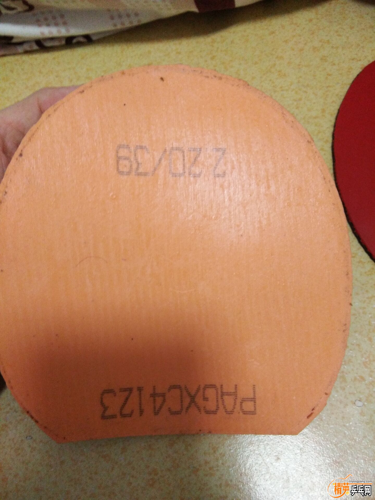 FFA26AB8EC5F421352A4FC668A85BC34.jpg